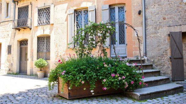 Top 5 histoires de réussite en rénovation durable